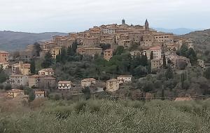 a village on top of a hill with houses at La casetta di Seggiano in Seggiano