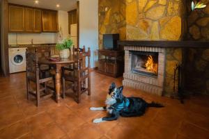 a dog laying on the floor in a kitchen with a fireplace at Apartamentos Los Olivos in Alcalá del Júcar
