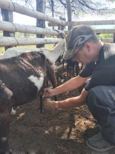 a young man petting a cow in a pen at Valle del Cardón in Villavieja