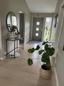 a hallway with a potted plant and a mirror at New luxurious Villa in Helsingborg close to the City in Helsingborg