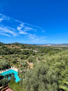 an overhead view of a swimming pool with trees at Madonna del Poggio B&B in Scarlino