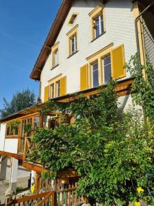 uma casa com persianas amarelas e uma árvore em frente em Naturoase Säntisblick-Auszeit am Wald und Bach em Kradolf