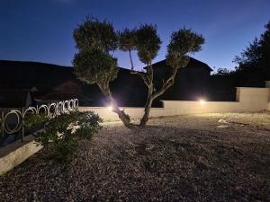 Galeriebild der Unterkunft Villa Olivetum in Marina