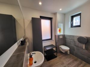 a bathroom with a sink and a toilet at MyTimeHouse in Ober-Ramstadt