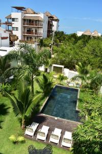 an overhead view of a swimming pool with chairs and palm trees at Casa de tus Sueños in Holbox Island