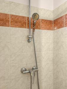 a shower with a hose and a shower head at SeaHaven in Saint-Brieuc