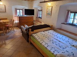 1 dormitorio con 1 cama con cómoda y TV en Apartment Zatrnik, en Bled