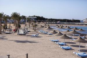 een groep strandstoelen en parasols op een strand bij Calimera Blend Paradise in Hurghada