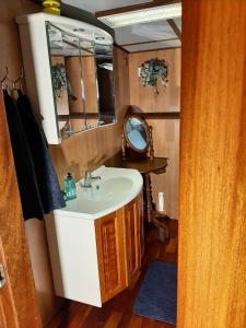 a bathroom with a sink and a mirror at M/S Furusund in Furusund