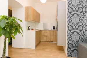 Kuchnia lub aneks kuchenny w obiekcie Vienna Stay Apartments Castellez 1020
