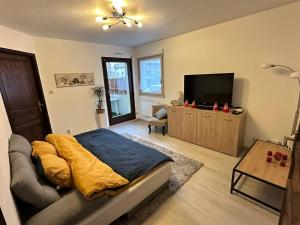 ein Wohnzimmer mit einem Bett und einem Flachbild-TV in der Unterkunft Superbe F2 terrasse, route du vin, Florival in Guebwiller