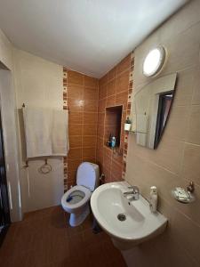 a bathroom with a white toilet and a sink at Chepelare Holiday Guest House in Chepelare +21 photos