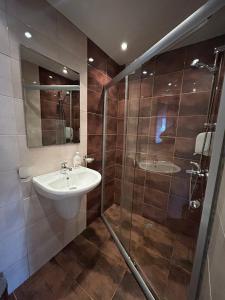 une salle de bain avec lavabo et douche dans l'établissement Chepelare Holiday Guest House, à Chepelare