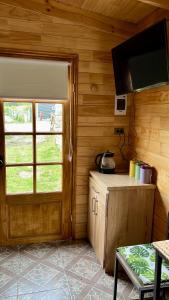 Habitación con pared de madera, puerta y TV. en Siempre Verde, en Puerto Tranquilo