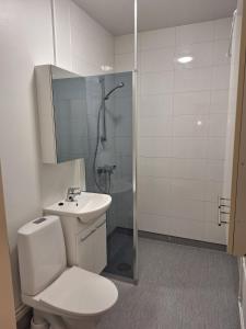 een badkamer met een douche, een toilet en een wastafel bij Hakakolmio in Ähtäri