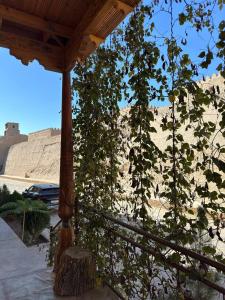 a tree in front of a building with a view at Art House Boutique Hotel in Khiva