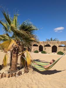 a woman laying in a hammock next to a palm tree at Cafour House Siwa - Hot Spring in Siwa