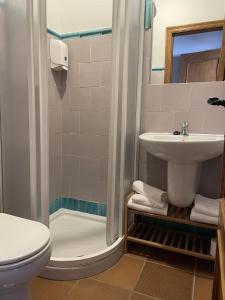 La salle de bains est pourvue d'un lavabo, d'une douche et de toilettes. dans l'établissement El traslado alojamiento rural, à El Rocío