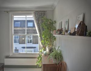 a room with a window with plants and a table at The Rose Terrace - 2BD Home Kentish Town in London