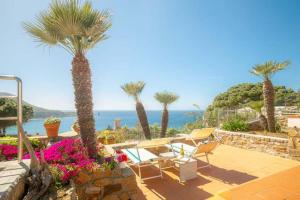 une terrasse avec 2 chaises, des palmiers et l'océan dans l'établissement Giglio Verde 2, à Isola del Giglio