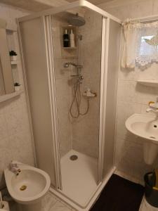 ein Bad mit einer Dusche, einem WC und einem Waschbecken in der Unterkunft Kranio in Karlsbad