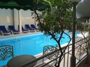 a swimming pool with chairs and a tree next to it at Sun Beach Hôtel in Cotonou
