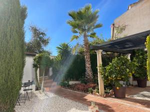 a patio with a palm tree and a blue umbrella at San Miguel B&B Granada in Granada