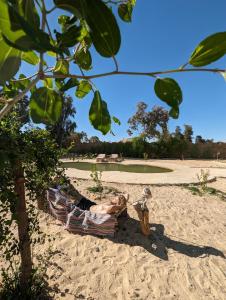 a man laying in a hammock on the beach at Cafour House Siwa - Hot Spring in Siwa