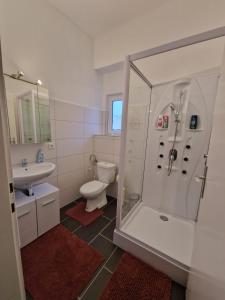 ein Bad mit einer Dusche, einem WC und einem Waschbecken in der Unterkunft Appartement 223 in Bad Aussee