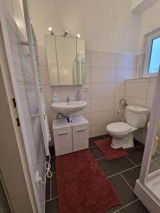 een badkamer met een toilet, een wastafel en een spiegel bij Appartement 223 in Bad Aussee