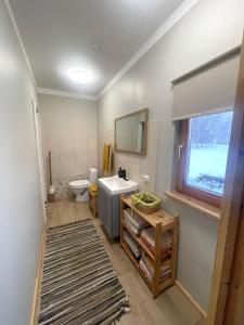 a bathroom with a sink and a toilet and a mirror at Vecvanagi in Jaunmuiža