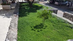 Vonkajšia záhrada v ubytovaní Villa Narona