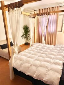開羅的住宿－A lovely large master bedroom Maadi Degla，卧室配有带白色窗帘的天蓬床
