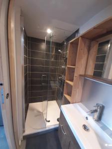 a bathroom with a shower and a sink at 5 min des pistes de ski Grand studio mezzanine in Viuz-en-Sallaz