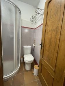 łazienka z toaletą, prysznicem i drzwiami w obiekcie El traslado alojamiento rural w mieście El Rocío