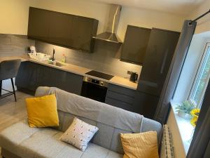 Il comprend un salon avec un canapé et une cuisine. dans l'établissement Modern Cosy 1 Bed Apartment near City Centre~Double Bed~Parking, à Manchester