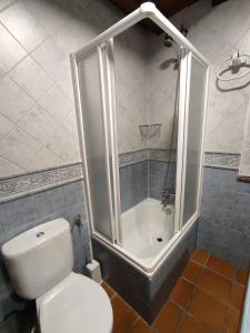 a small bathroom with a toilet and a shower at Casa Rural Puerta del Sol II de 2 habitaciones in Candelario