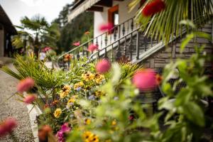 Ein paar Blumen vor einem Gebäude in der Unterkunft Residence Obermoarhof - comfortable apartments for families, swimmingpool, playing-grounds, Almencard in Vintl