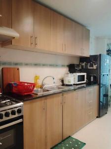 uma cozinha com um lavatório e um micro-ondas em Boracay Apartment unit 5 em Boracay