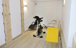 シュラートミンクにあるAwesome Apartment In Schladming With 1 Bedrooms And Internetのジム(エアロバイク、黄色い椅子付)