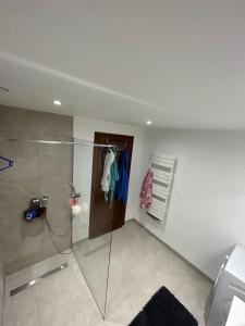 uma casa de banho com um chuveiro e uma porta de vidro em Agréable maison familiale em Mitzach
