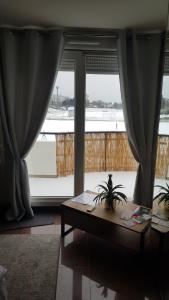 Green Field Lodge في لينغولسهايم: غرفة معيشة مع طاولة ونافذة كبيرة