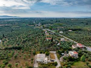 Pokrajina v okolici apartmaja