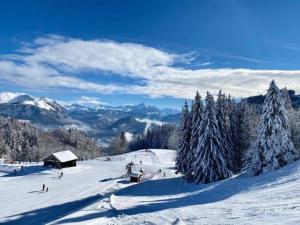 a ski slope with snow covered trees on a mountain at Chambre Cocooning in Viuz-en-Sallaz