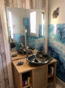 ein Bad mit einem Waschbecken und einem Spiegel in der Unterkunft LE RENDEZ VOUS DES VACANCES in Fouras