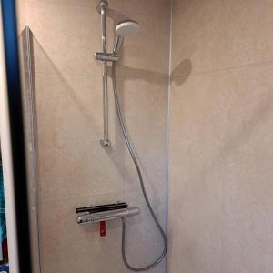 a shower with a shower head in a bathroom at Zonnig zomerhuis in Krachtighuizen