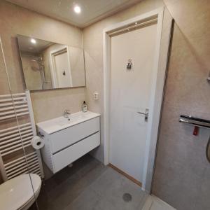 een badkamer met een toilet, een wastafel en een douche bij Zonnig zomerhuis in Krachtighuizen