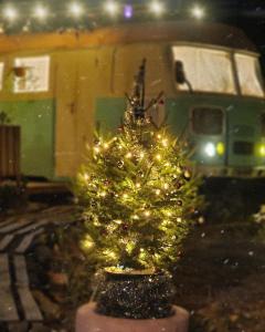 Un árbol de Navidad con luces delante de un tren en Pavlove Tiny Bus House in Qabala en Gabala