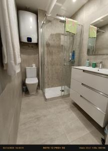 een badkamer met een douche, een toilet en een wastafel bij Bonito Apartamento en Zamakola in Bilbao
