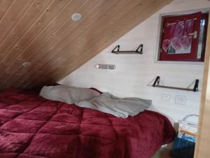 Schlafzimmer mit einem Bett mit einer roten Bettdecke in der Unterkunft La p'tite maison bois du hérisson in Ménétrux-en-Joux